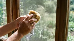 Ihr Fliegengitter sieht in 10 Minuten wieder wie neu aus: eine einfache Methode zur schnellen Reinigung mit Haushaltsmitteln