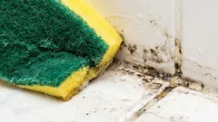  Dieses Milchgetränk entfernt Schimmelflecken sofort.