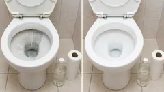 Toilettenpapierrolle und Essig: eine einfache Methode, um Kalkablagerungen aus der Toilette zu entfernen und ihr ursprüngliches Aussehen wiederherzustellen.